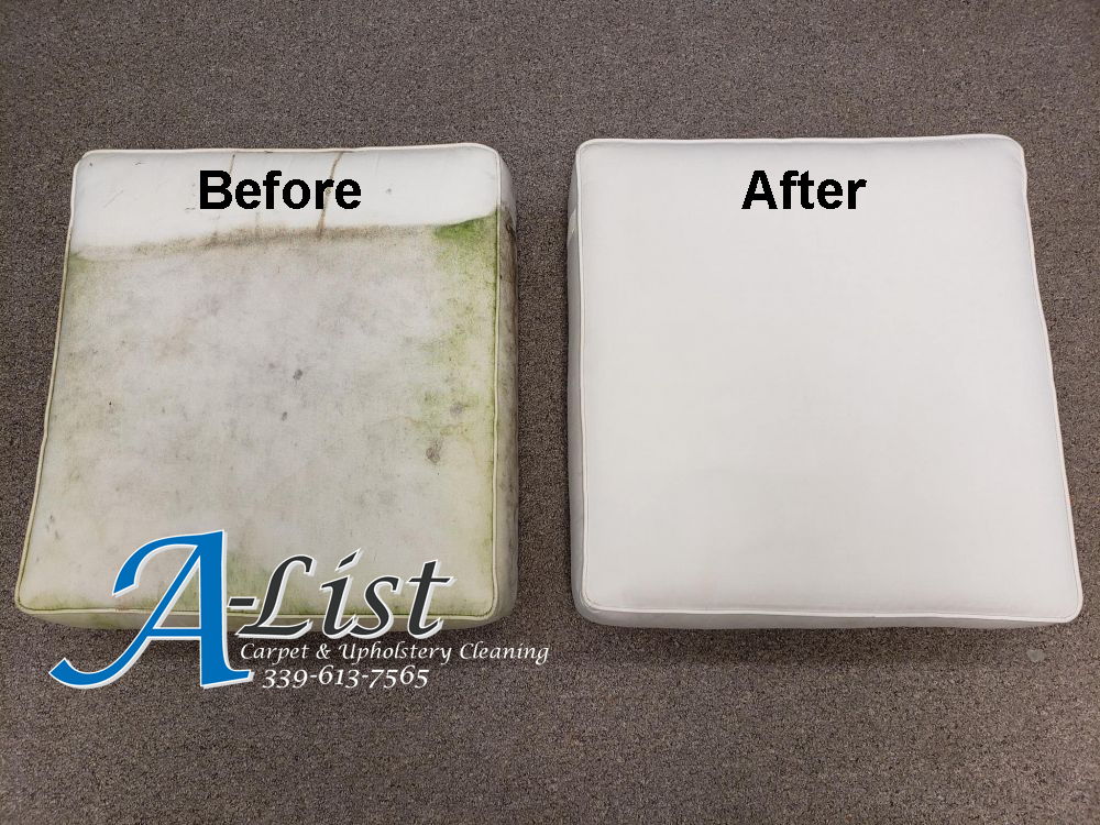 outdoor cushions alist